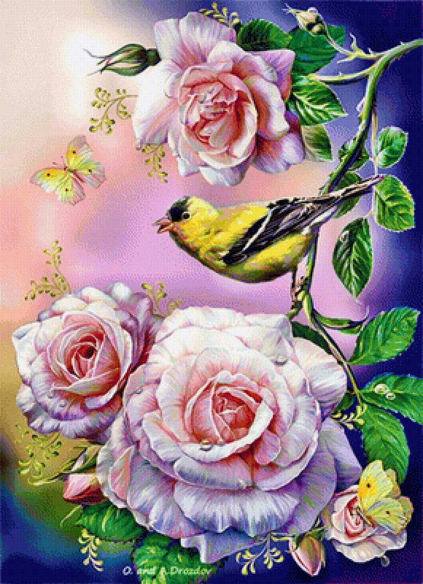 РОЗЫ - предпросмотр