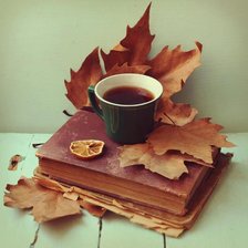 Схема вышивки «naturmort»