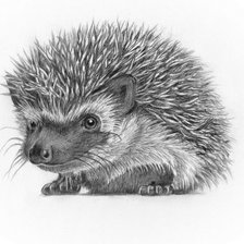 Схема вышивки «ежик 28»