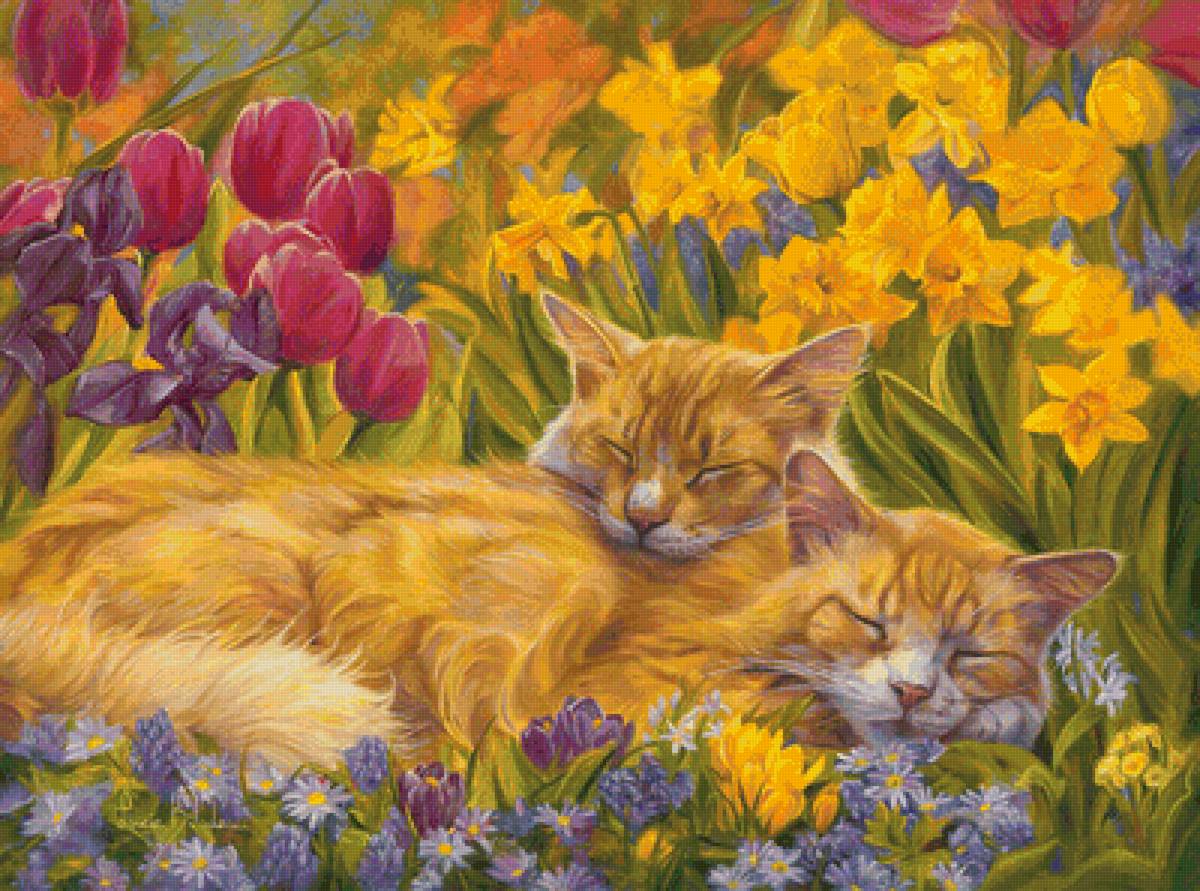 33 - предпросмотр