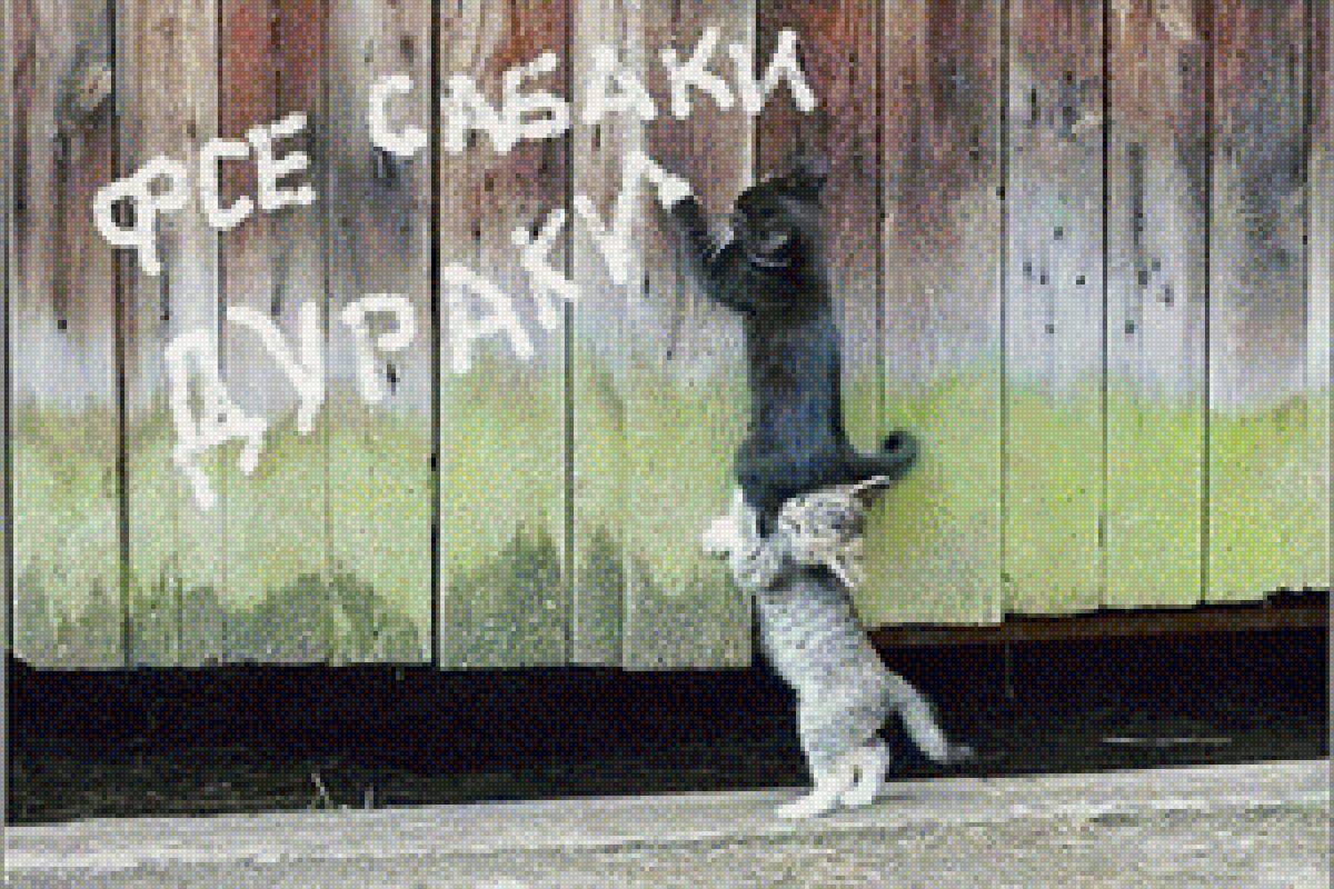 Про собак - кошки - предпросмотр