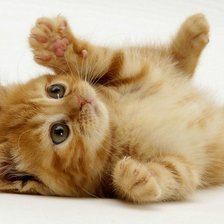 Схема вышивки «34»