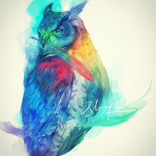 Схема вышивки «Сова»