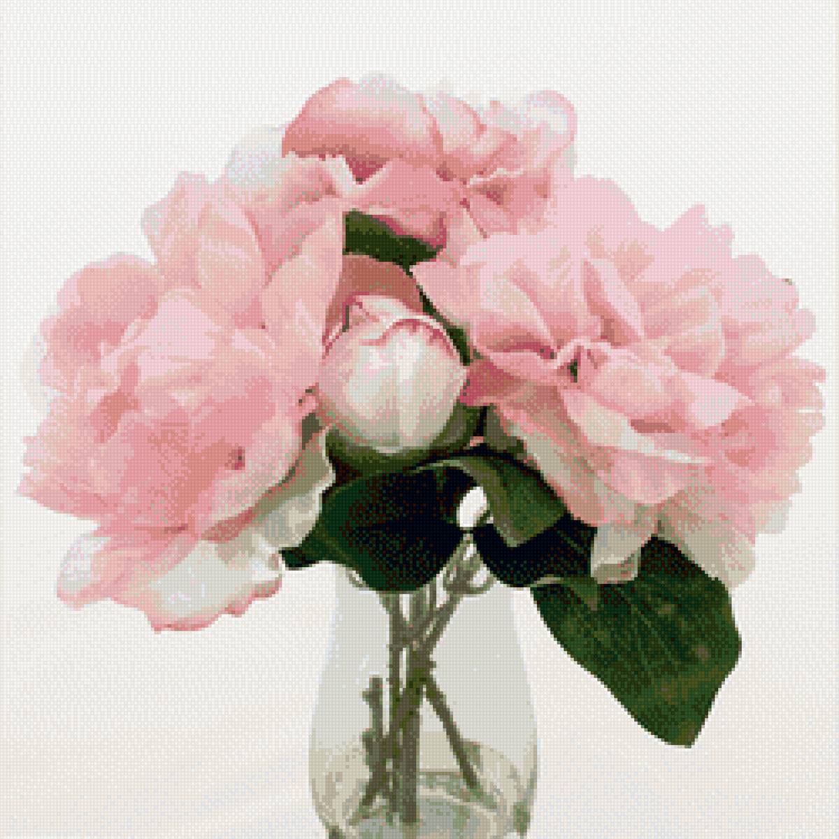 Букет пионов - предпросмотр