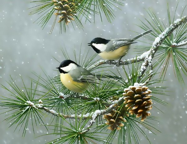 №1499184 - оригинал