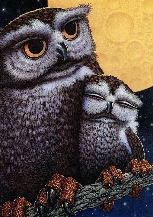совы - оригинал