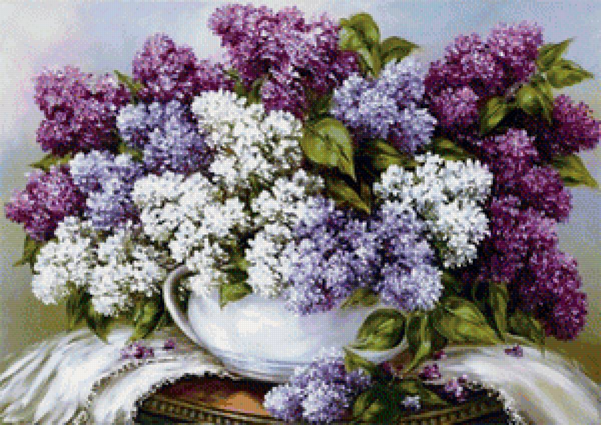 Сирень - цветы, сирень - предпросмотр