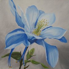 Схема вышивки «аквилегия 8»