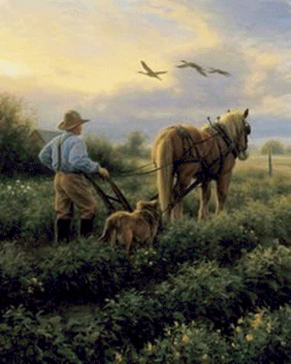 orka - предпросмотр