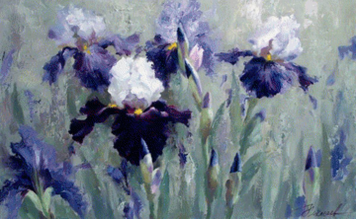 ирисы - ирисы - предпросмотр