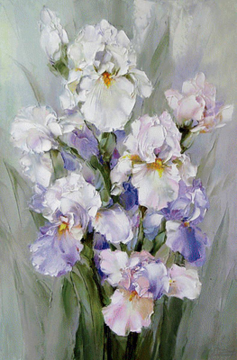 белые ирисы - ирисы - предпросмотр