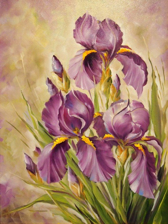 3 ириса - ирисы - оригинал