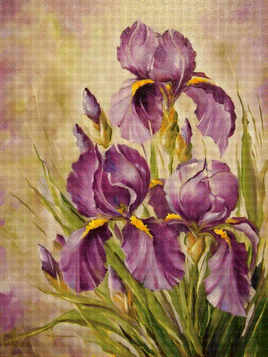 3 ириса - ирисы - предпросмотр