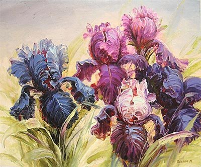 ирисы - ирисы - оригинал