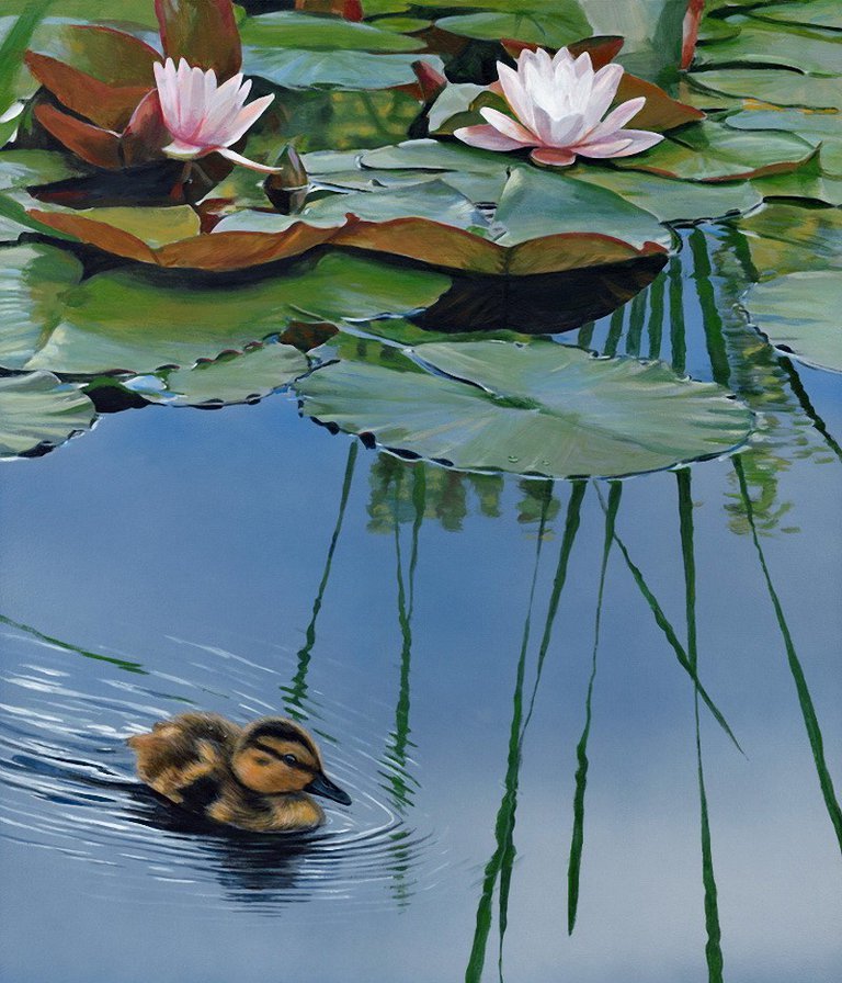 WATERLILLY - вода, природа - оригинал