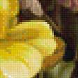 Предпросмотр схемы вышивки «váza,kvety» (№1501338)