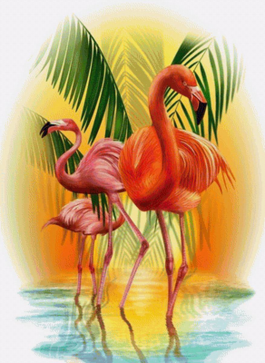 plameňáci - предпросмотр