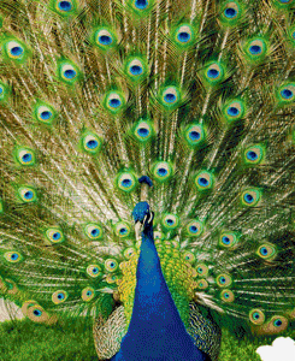 * - предпросмотр