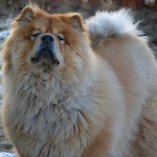 Схема вышивки «Travis»