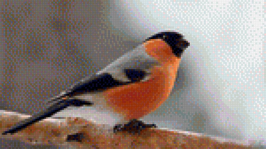 Снегирь - птица вышивка - предпросмотр