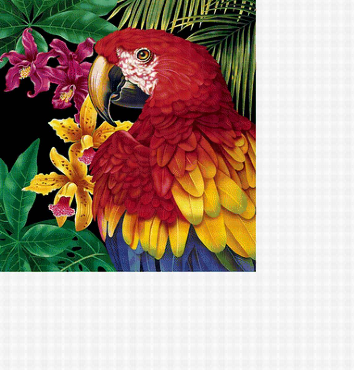 Красивый попугай - птицы, цветы, орхидеи, попугаи - предпросмотр