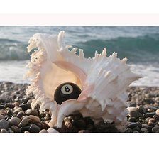 Схема вышивки «шар в раковине»