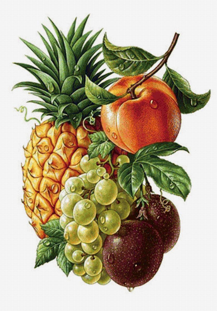 55 - предпросмотр