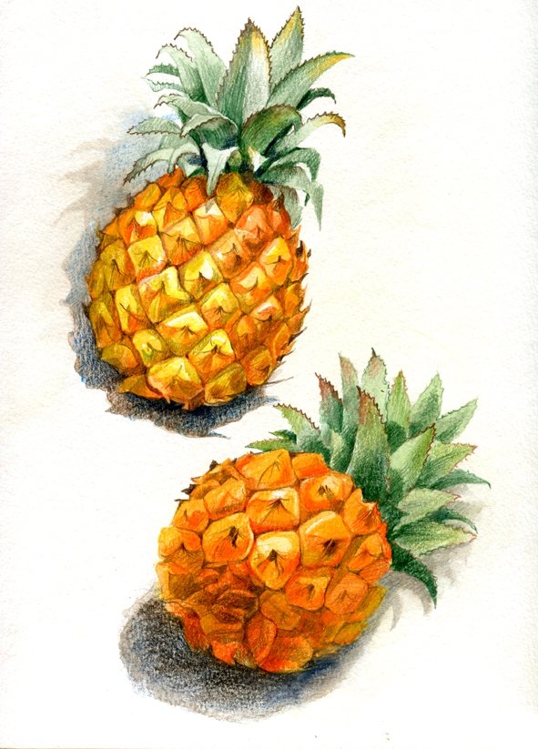 ананас - оригинал