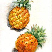 Оригинал схемы вышивки «ананас» (№1503272)
