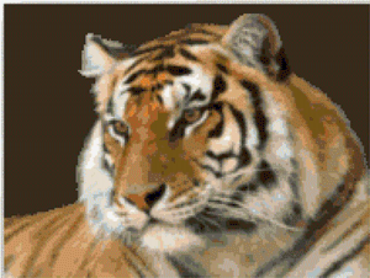 TIGUR-7 - kotki - предпросмотр