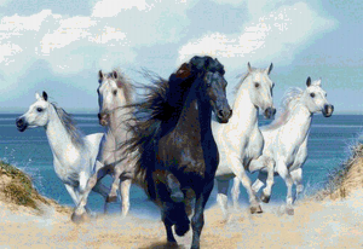 KONE-1 - fauna priroda jivotni kone - предпросмотр