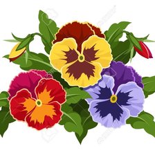 Схема вышивки «анютины глазки»