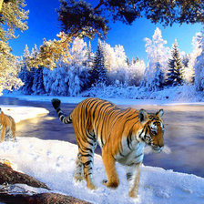 Схема вышивки «lll»