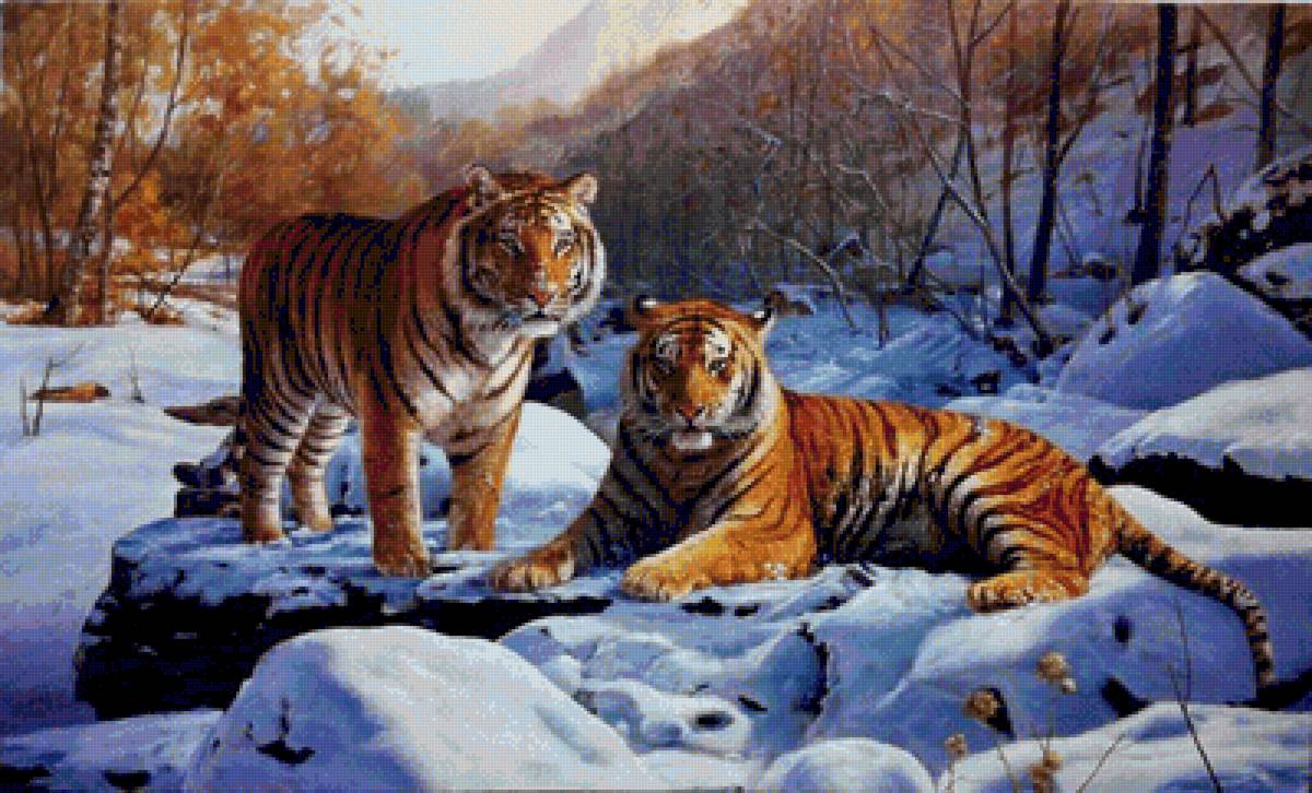 lll - предпросмотр