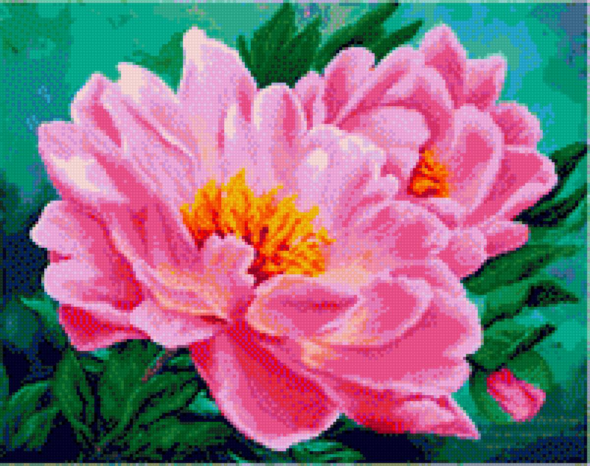 Цветок, фото цветка взято из интернета - предпросмотр