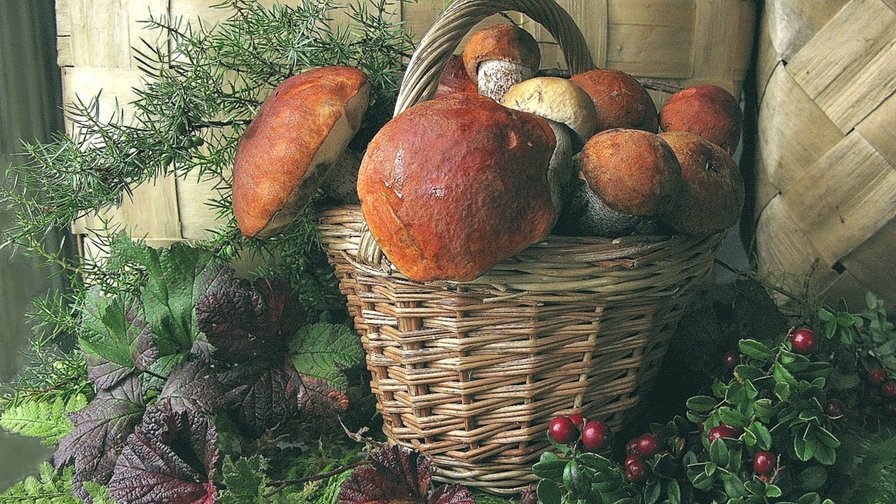 дары леса - оригинал