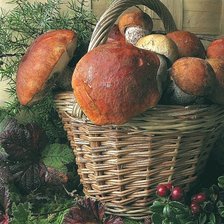 Схема вышивки «дары леса»