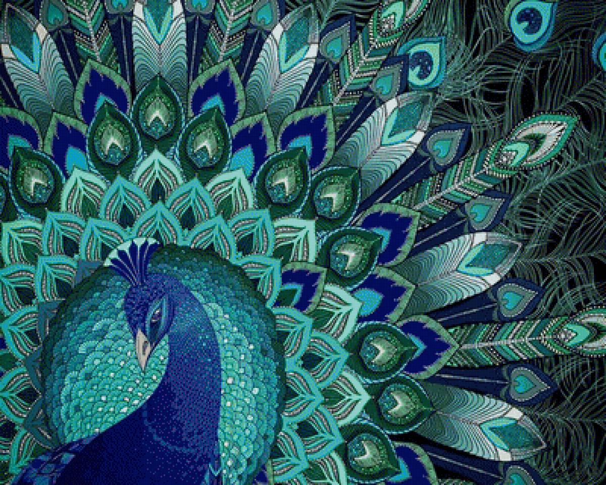 Узор павлина - узор, павлин - предпросмотр