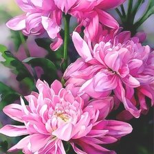 Оригинал схемы вышивки «№1506073»