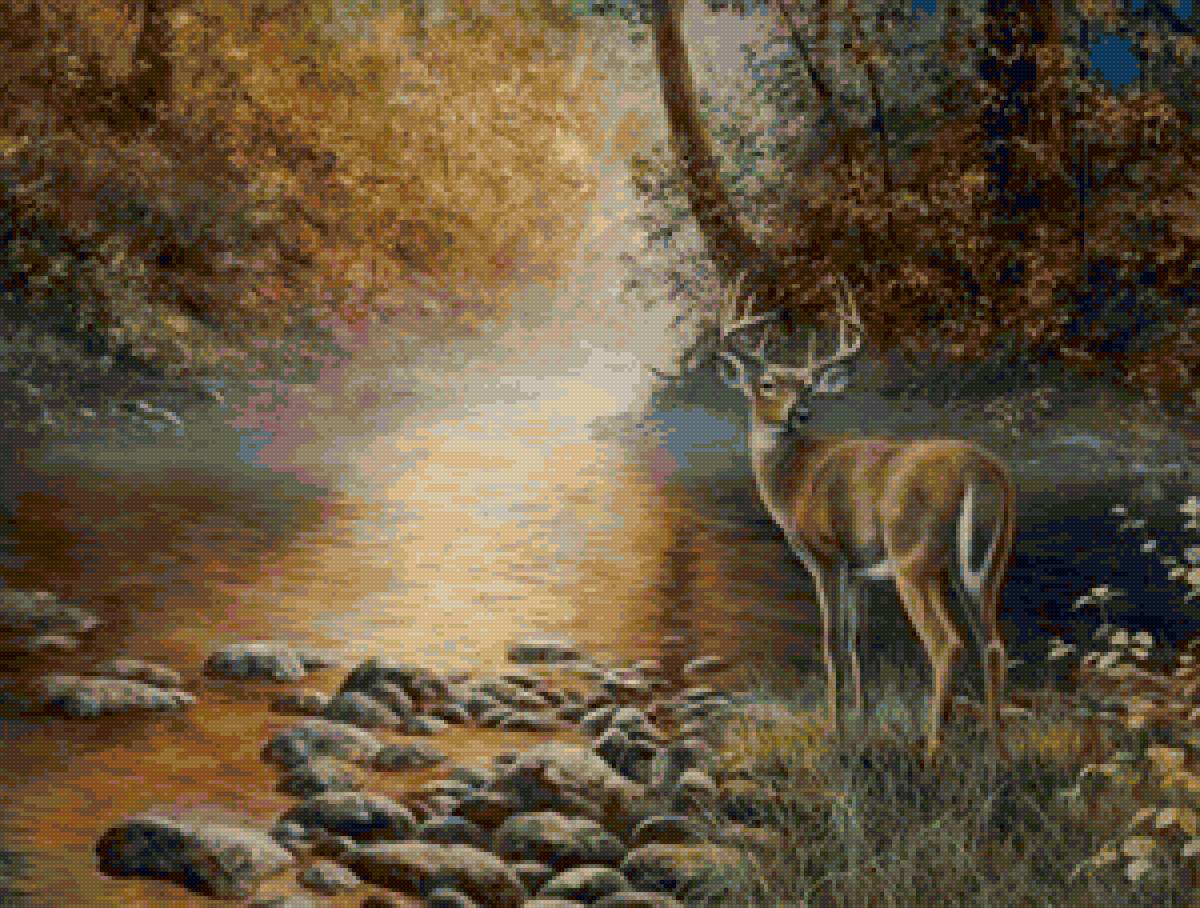 Олень - река, животные, олень, на берегу - предпросмотр