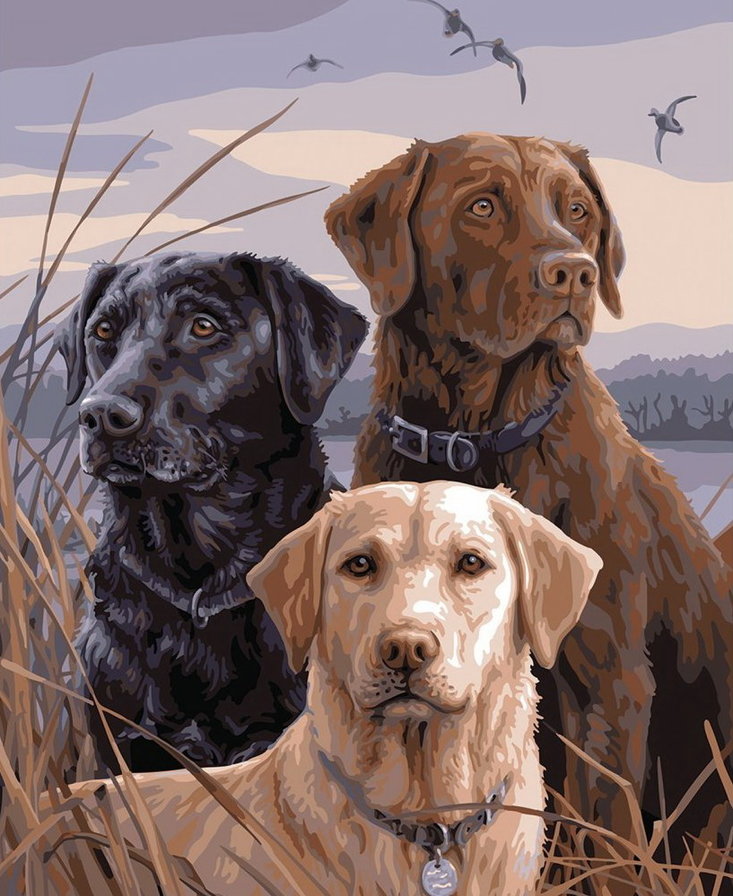 Три товарища - охота, собаки - оригинал