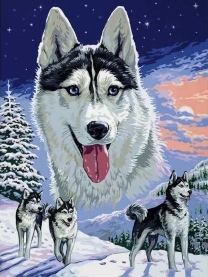 Снежные Хаски - хаски, зима, собаки - оригинал