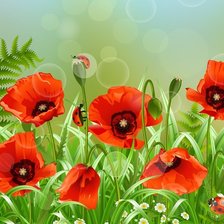 Схема вышивки «маки»