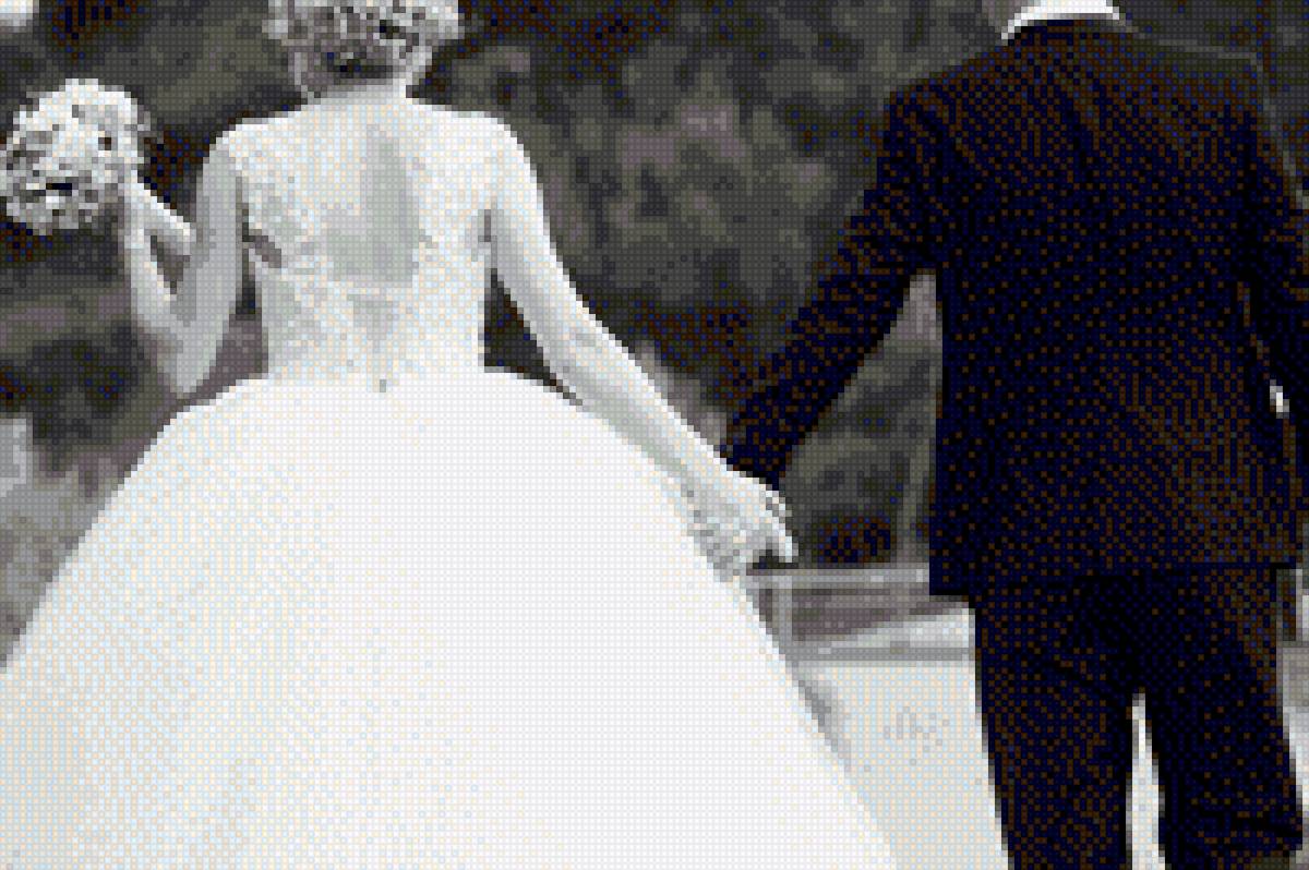 wedding - dddd - предпросмотр