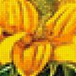 Предпросмотр схемы вышивки «солнечные цветы» (№1508388)