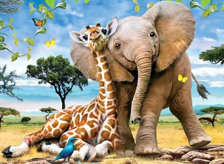 Мир животных - слон, жираф, лето, животеое, детское - оригинал