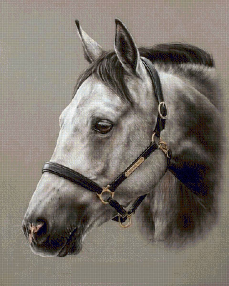 №1508714 - предпросмотр