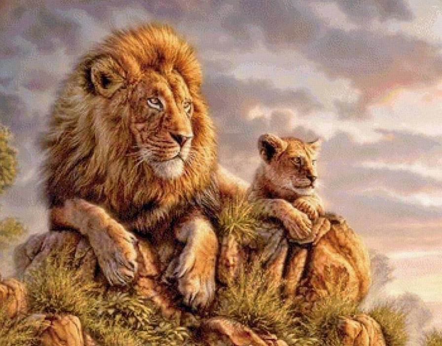 Царственные взгляды - животные, львы, дикие кошки - оригинал