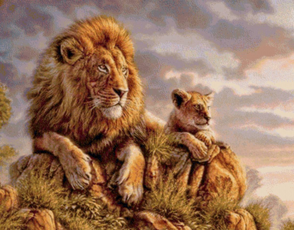 Царственные взгляды - животные, дикие кошки, львы - предпросмотр