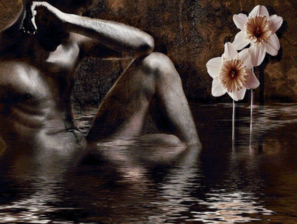 миф Нарцисс - нарцисс - предпросмотр